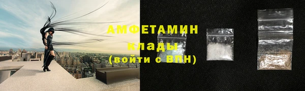 шишки Михайловск