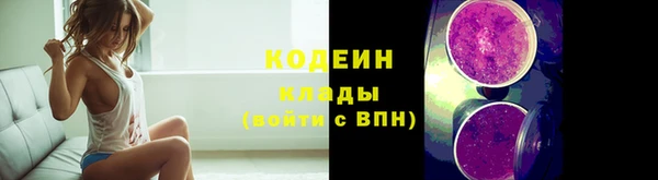 шишки Михайловск