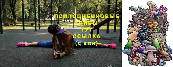 крисы Михайловка