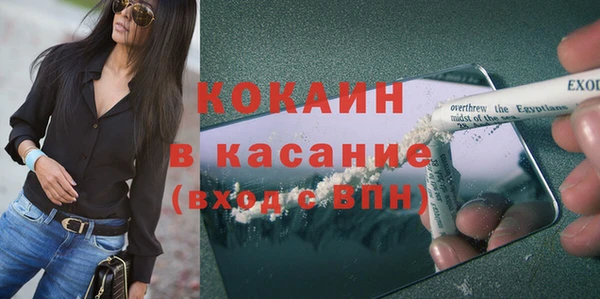 шишки Михайловск