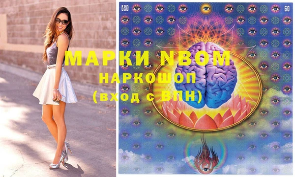шишки Михайловск