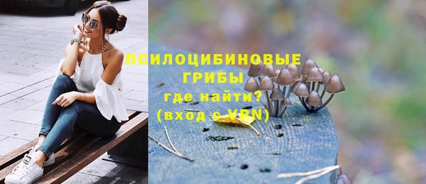 шишки Михайловск