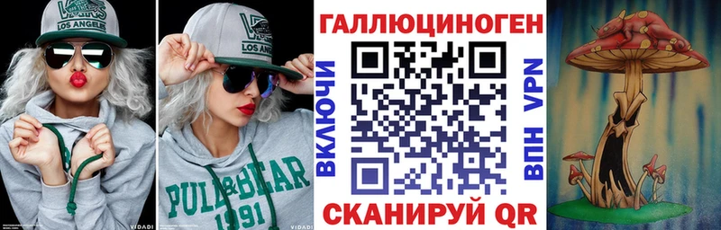 Купить где  Новоржев  Галлюциногенные грибы прущие грибы 